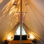 Glamping - Projekt Alpaka