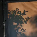 Glamping - Projekt Alpaka 럭셔리텐트