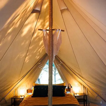 Glamping - Projekt Alpaka
