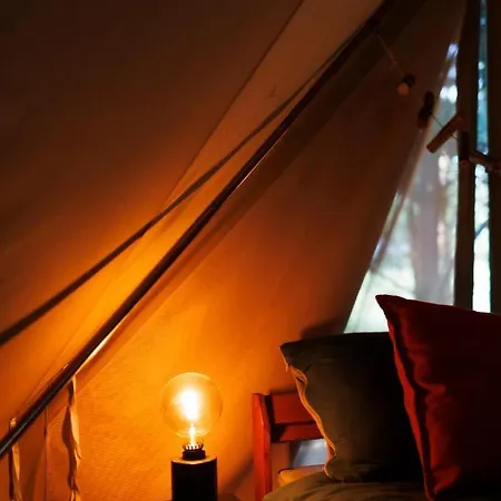 Glamping - Projekt Alpaka *