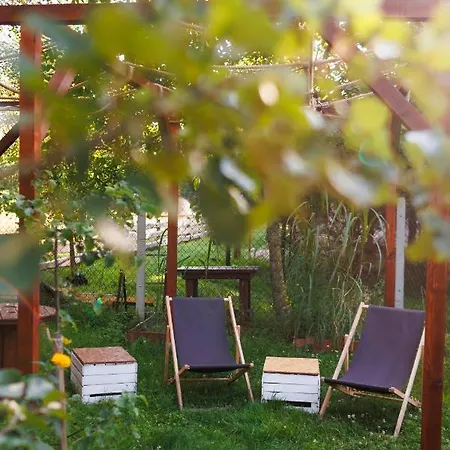 Glamping - Projekt Alpaka Tente de luxe *