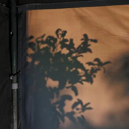 Glamping - Projekt Alpaka Luxe tent