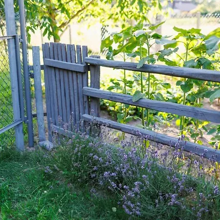 Glamping - Projekt Alpaka Glamping *