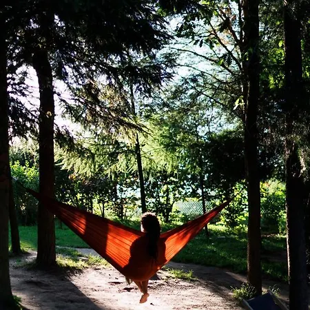 Glamping - Projekt Alpaka Tente de luxe