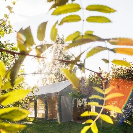 Glamping - Projekt Alpaka * Garbatka-Letnisko