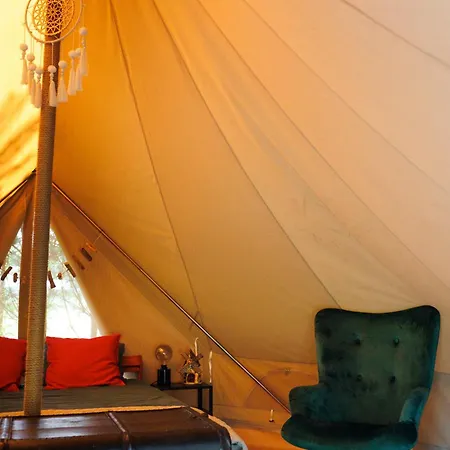 Glamping - Projekt Alpaka
