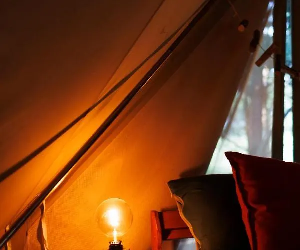 Glamping - Projekt Alpaka *