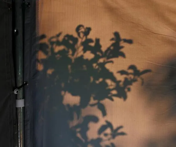 Glamping - Projekt Alpaka Luksusowy namiot