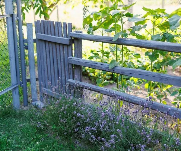 Glamping - Projekt Alpaka Luksusowy namiot *