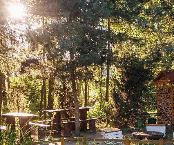 Glamping - Projekt Alpaka Luksusowy namiot Garbatka-Letnisko