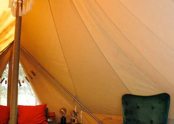 Glamping - Projekt Alpaka